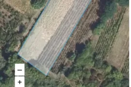 Продается Земля, Сельскохозяйственные, Kurdghelauri