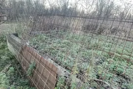 Land For Sale, Agricultural, Pirveli Sviri