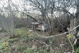 Land For Sale, Agricultural, Pirveli Sviri