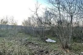 Land For Sale, Agricultural, Pirveli Sviri