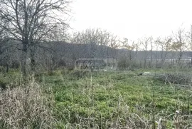 Land For Sale, Agricultural, Pirveli Sviri