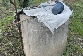 Land For Sale, Agricultural, Pirveli Sviri