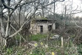 Land For Sale, Agricultural, Pirveli Sviri