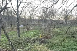 Land For Sale, Agricultural, Pirveli Sviri