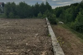 Land For Sale, Agricultural, Telavi