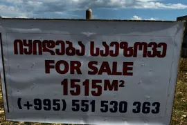 Land For Sale, Agricultural, Telavi