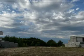 Land For Sale, Agricultural, Telavi