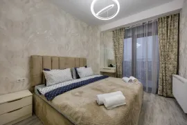 Аренда, 2 Kомнатная, Новостройка, Тбилиси, Исани