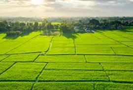 Продается Земля, Сельскохозяйственные, Бакуриани
