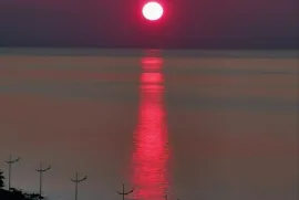 იყიდება ბინა, 1 ოთახიანი, ახალი აშენებული, ბათუმი, ხიმშიაშვილის უბანი