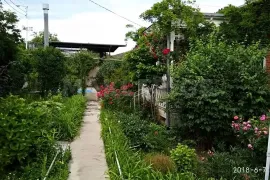 ქირავდება სახლი, 4 ოთახიანი, თბილისის შემოგარენი, წყნეთი