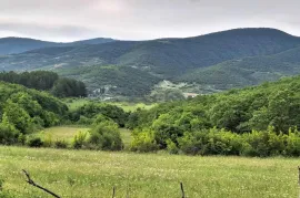 Продается Земля, Сельскохозяйственные, Патардзеули