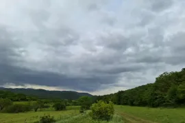 Продается Земля, Сельскохозяйственные, Патардзеули