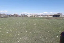 იყიდება მიწის ნაკვეთი, სასოფლო - სამეურნეო, გამარჯვება 