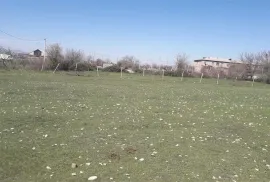 იყიდება მიწის ნაკვეთი, სასოფლო - სამეურნეო, გამარჯვება 