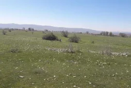 იყიდება მიწის ნაკვეთი, სასოფლო - სამეურნეო, გამარჯვება 