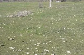 იყიდება მიწის ნაკვეთი, სასოფლო - სამეურნეო, გამარჯვება 