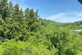 Продается Дом, 10 Kомнатная, Озургетский район, Квемо Натанеби