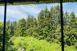 Продается Дом, 10 Kомнатная, Озургетский район, Квемо Натанеби