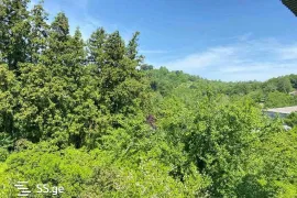 Продается Дом, 10 Kомнатная, Озургетский район, Квемо Натанеби