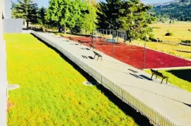 Daily Apartment Rent, 1 Room, New building, Borjomi , Bakuriani