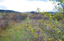 Land For Sale, Agricultural, Galavani