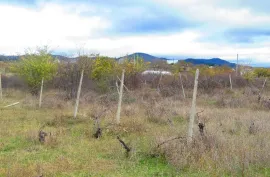 Land For Sale, Agricultural, Galavani