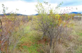 Land For Sale, Agricultural, Galavani