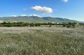 Land For Sale, Saguramo