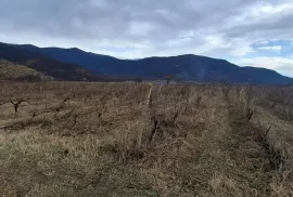 იყიდება მიწის ნაკვეთი, სასოფლო - სამეურნეო, შილდა