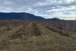 იყიდება მიწის ნაკვეთი, სასოფლო - სამეურნეო, შილდა