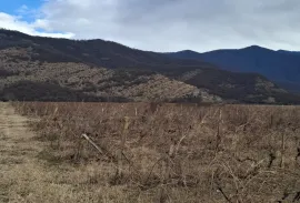 იყიდება მიწის ნაკვეთი, სასოფლო - სამეურნეო, შილდა