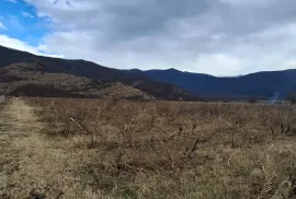 იყიდება მიწის ნაკვეთი, სასოფლო - სამეურნეო, შილდა