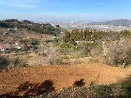 Land For Sale, Tkhilnari