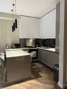 Аренда, 2 Kомнатная, Новостройка, Тбилиси, Самгори