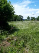 Land For Sale, Agricultural, Kojori