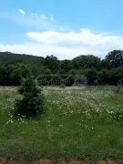 Land For Sale, Agricultural, Kojori