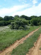 Land For Sale, Agricultural, Kojori