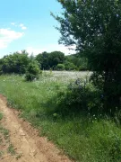 Land For Sale, Agricultural, Kojori