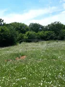 Land For Sale, Agricultural, Kojori