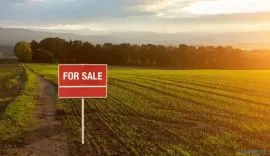 Land For Sale, Agricultural, Mlashe 