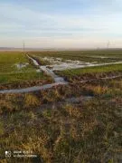 Land For Sale, Agricultural, Azizkendi