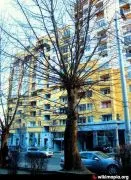 Продается квартира, 3 Kомнатная, Новостройка, Тбилиси, saburtalo