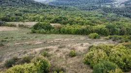 Land For Sale, Agricultural, Orbeti 