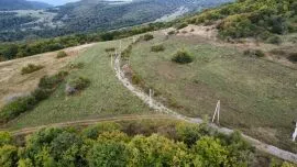 Land For Sale, Agricultural, Orbeti 