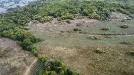 Land For Sale, Agricultural, Orbeti 