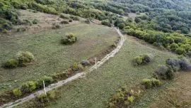 Land For Sale, Agricultural, Orbeti 