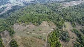 Land For Sale, Agricultural, Orbeti 