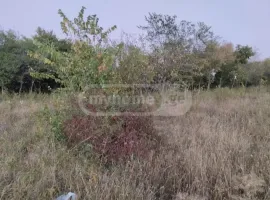 Land For Sale, Agricultural, Navdaraantkari