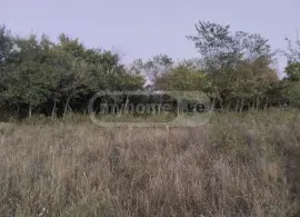 Land For Sale, Agricultural, Navdaraantkari